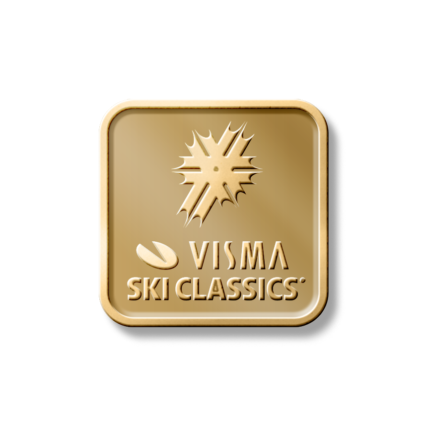 Golden Skier Badge
